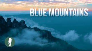 Blue Mountains, Australia Nature
