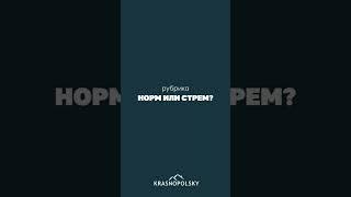 Рубрика норм или стрем со строительной компаниейПишите свое мнение в комментариях! #ремонт #юмор