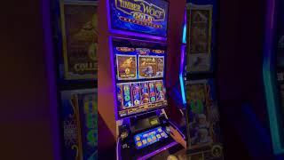 Timber Wolf Gold Revolution slot machine with Syd!