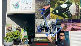 Native Fish Showroom in Western Australia - Dr. Dulana (or Dean) Herath & Deryck Butcher PASES Aqua