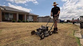 Get Ready for The Ultimate Lawn Makeover! Spring Time KIKUYU Lawn Renovation