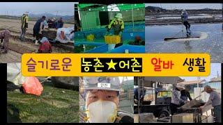 슬기로운 알바 생활 (짱치의 농어촌 알바記) #귀어 #귀촌 #귀어귀촌 #어촌 #귀농 #귀어귀촌종합센터