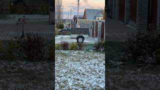 Легковой прицеп - а как ты используешь его? #прицепы
