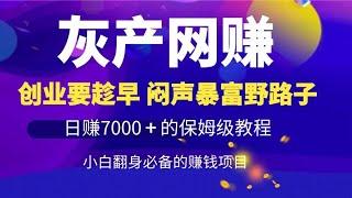 灰产网赚项目分享，新手网上赚钱最快的方法，偏门赚钱野路子！闷声暴富日赚7000的冷门赚钱项目#賺錢 #网赚 #赚钱 #灰产 #灰色项目 #创业 #网赚项目 #赚钱方法 #赚钱项目 #揭秘 #挣钱