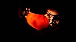 Movement inside a box turtle egg