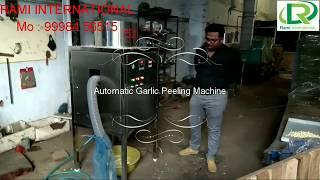 Automatic Garlic Peeling Machine By RAMI INTERNATIONAL