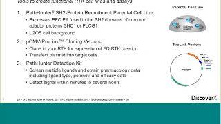 Create Your Own Cell-Based Assays to Study Receptor Tyrosine Kinase Function