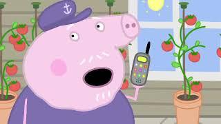 Peppa Pig Episodes - Champion Daddy Pig