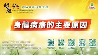 身體病痛的主要原因｜太陽盛德導師–超級生命密碼網路共修