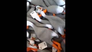 Duck Army
