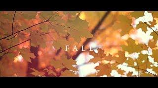 FALL | HIGH PARK | CANADA | CINEMATIC VLOG 05