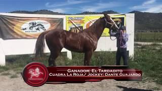 EL TARDADITO VS EL PATO - 11 NOV 18 - PUERTO MEXICO