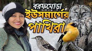 Birds of Yousmarg | Srinagar Botanical Garden Birdwatching - Kashmir Series Episode 11