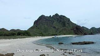 Day Trip to Komodo National Park from Labuan Bajo