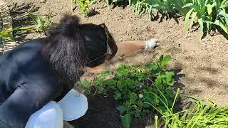 НОВЫЕ СКРЫТЫЕ СПОСОБНОСТИ МОЕЙ ДОЧЕРИ/ РАСПРАВИЛАСЬ С НИМ И НЕ ПОЖАЛЕЛА/СМОГЛА ЕГО ЗАПЕЧАТЛИТЬ