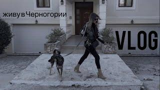 Vlog Сервис в Черногории | Что значит Полако