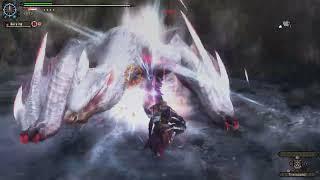 MHFZ: Musou Nargacuga Gunlance 4:48