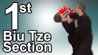 Wing Tsun 1st Biu Tze section - Part 1