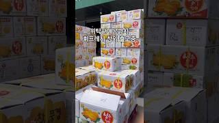 프리미엄 성주 참외 출고중이예요 ️#휘프레시 #위탁판매 #위탁판매공급사 #b2b #과일위탁판매 #과일소싱 #농장소싱 #아이템소싱 #상품소싱 #참외 #성주참외 #참외소싱 #참외