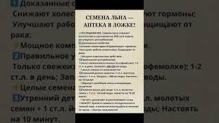 СЕМЕНА ЛЬНА - АПТЕКА В ЛОЖКЕ