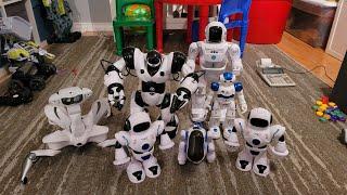  "Ben's Dancing Robots: Tech Grooves Unleashed!" 