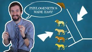 Clint Explains Phylogenetics - There are a million wrong ways to read a phylogenetic tree