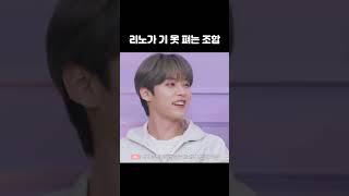 [스키즈/ 리노 필릭스 아이엔] 리노가 기 못 펴는  조합 | 양냥라차