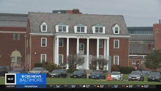 University of Maryland students react to suspension of fraternities, sororities