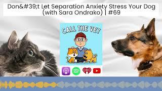 Don't Let Separation Anxiety Stress Your Dog (with Sara Ondrako) | #69