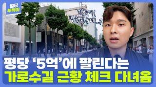 진짜 망했을까? 신사동 가로수길 랜선 임장  빌딩매각사례｜부동산｜랜선임장 ‍[빌딩뚜벅이 EP.3]