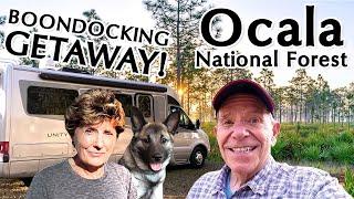 RV Boondocking in Florida's Ocala National Forest