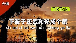 TikTok爆火歌曲-下辈子还要和你成个家/彤大王