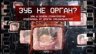 Зуб — не орган? Как и почему стоматология отделилась от остальных специальностей.