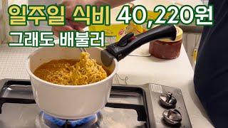 절약하는 직장인 일주일 식비 40,220원 | 냉장고 파먹기 | 20대30대 절약 파이어족 브이로그