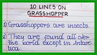 10 Lines on Grasshopper in English | Few Lines on Grasshopper | About Grasshopper in English