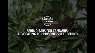 Behind Bars for Cannabis: Advocating for Prisoners Left Behind