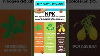 Best Plant Fertilizers | NPK fertilizers | Organic fertilizers for houseplants #fertilizerforplants