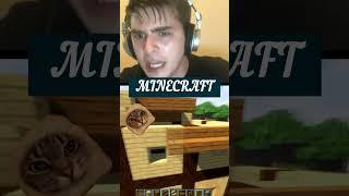 The cat is discouraged in Minecraft #minecraft  #shorts  #megamod