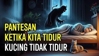 BIKIN NANGIS SEUMUR HIDUP...!!! INI YANG DILAKUKAN KUCING KETIKA PEMILIKNYA TIDUR