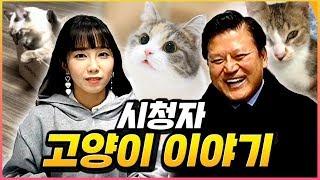 고양이 잘 아는 원장님의 '무엇이든 물어보세요' - 시청자 상담편