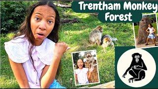 TRENTHAM MONKEY FOREST