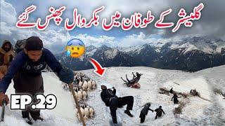  Facing Deadly Storm in Glacier | Travelling With Bakarwal in Kashmir Episode 29