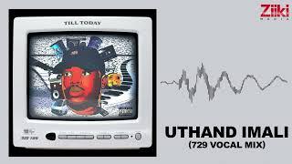 Dzo 729 - Uthand iMali ft. MalumNator (Audio Visualizer)