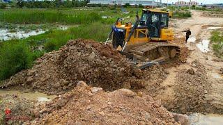 Unexpected Huge SHANTUI Dozer Cutting Soils In Water Making Foundation Road and Dump Trucks Working