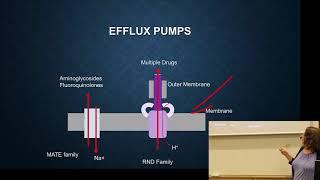 11-ABR mechanisms: target modification and efflux