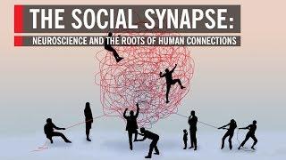 Neuroscience and the Roots of Human Connections: The Social Synapse