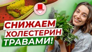 СНИЖАЕМ ХОЛЕСТЕРИН ТРАВАМИ!