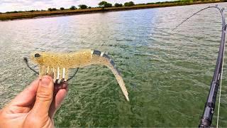 Chasing Monster Barra in the Creeks!