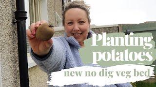 New no dig raised bed and planting potatoes in grow bags! Beginner gardening journey