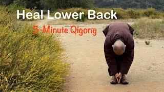 Relax and Strengthen Lower Back | 5-Minute Qigong: Hands Folded, Body Curving